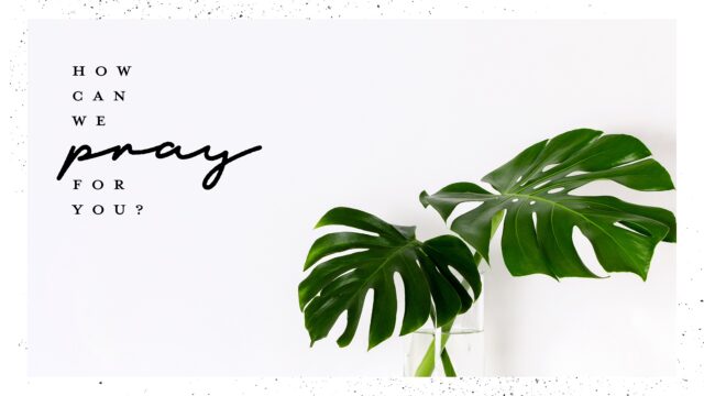 How Can We Pray For You?