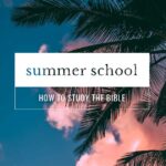 Summer School