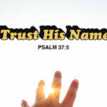 Trust His Name