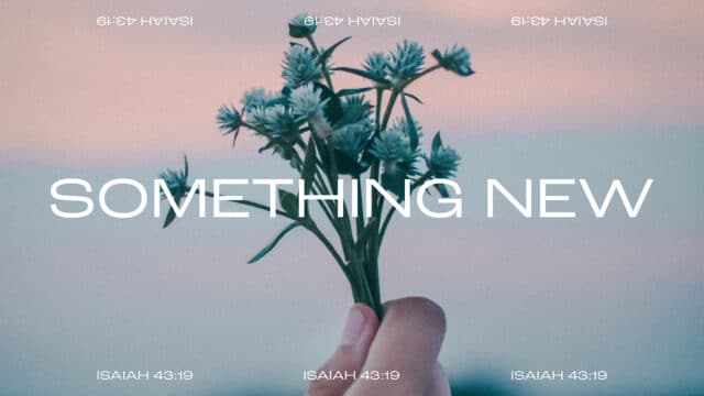 Something New