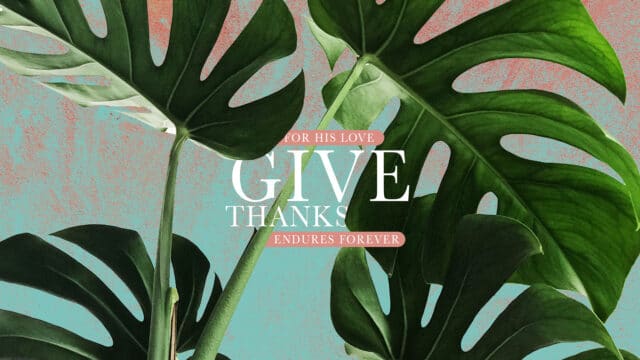 Give Thanks