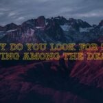 Look For The Living Among The Dead