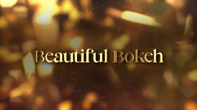 Beautiful Bokeh