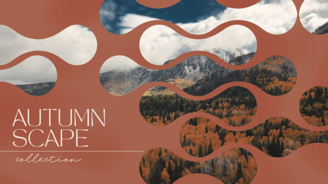 Autumn Scape