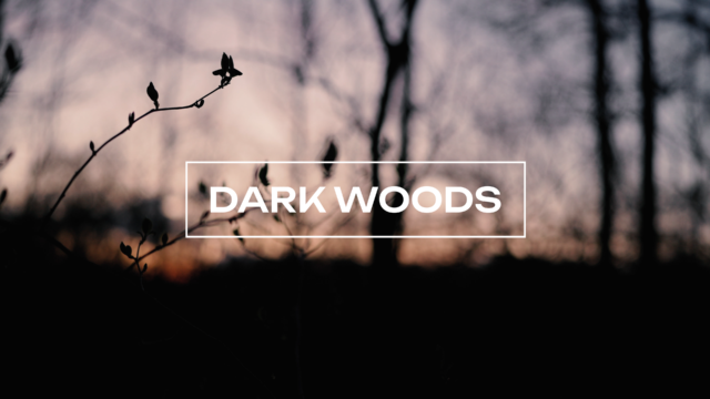Dark Woods