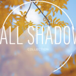 Fall Shadow – Autumn Motion Backgrounds and Slides for Worship