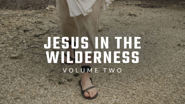 Jesus in the Wilderness: Volume Two