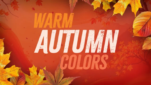 Warm Autumn Colors