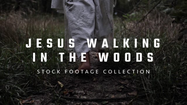 Jesus Walking in the Woods