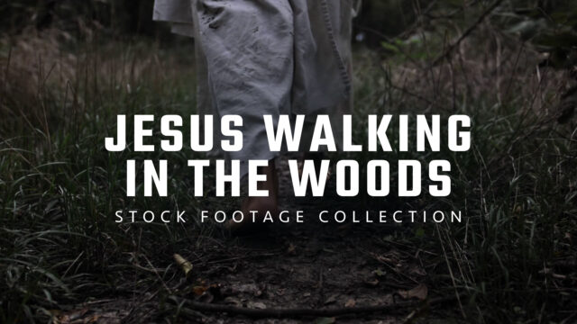 Jesus Walking in the Woods