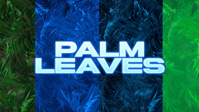 Palm Leaves