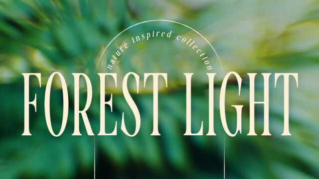 Forest Light