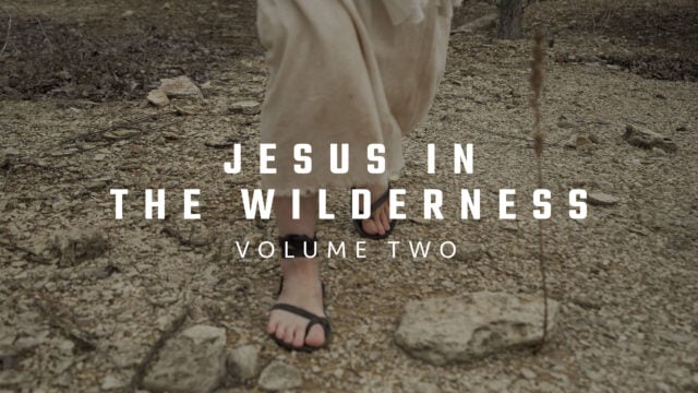 Jesus in the Wilderness: Volume Two