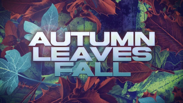Autumn Leaves Fall