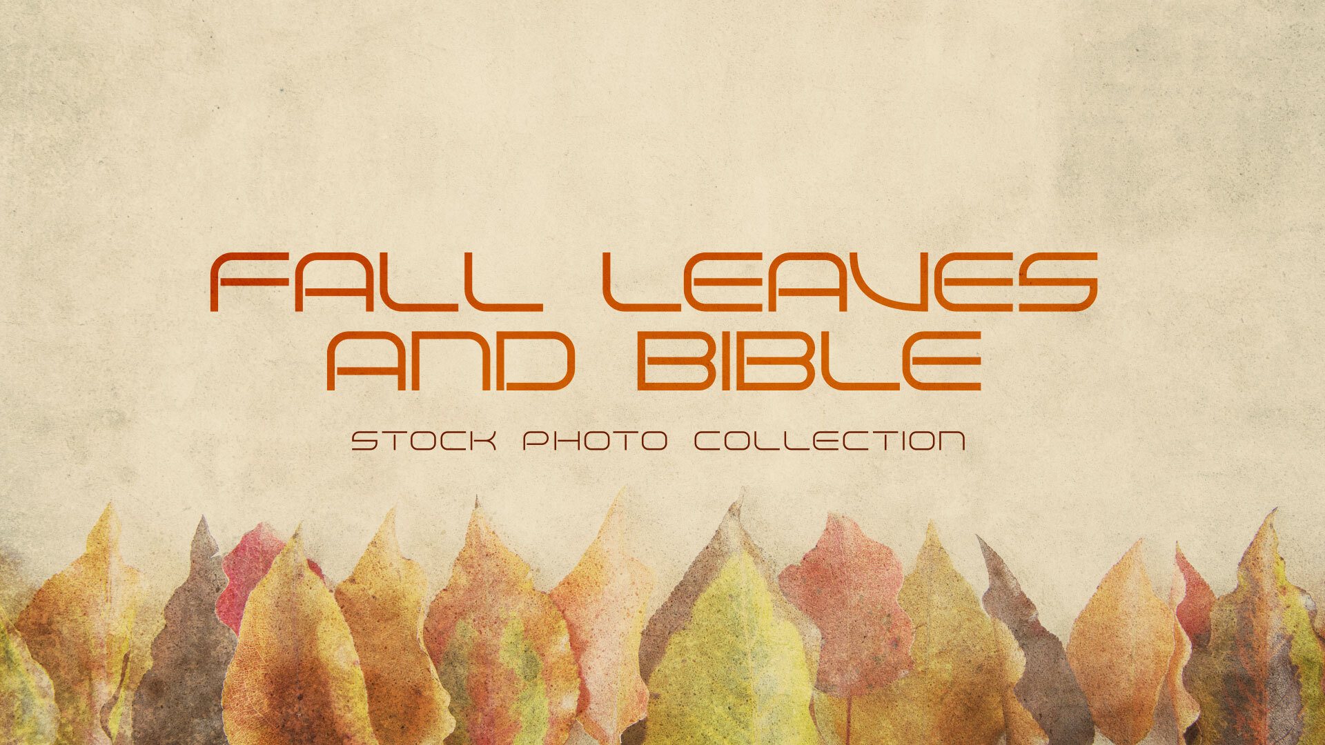 Stock Photos: Fall Leaves Bible Stock Photos | 8 Autumn Church Graphics