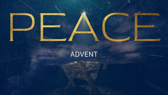 Advent – Peace