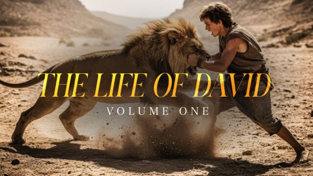 The Life of David: Volume One