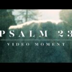 Cinematic nature scene with flowing water and forest light featuring “Psalm 23 Video Moment” text.
