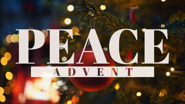 Peace Advent
