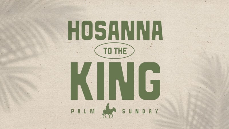 Social Graphics: Palm Sunday Hosanna To The King | Modern Easter Graphics